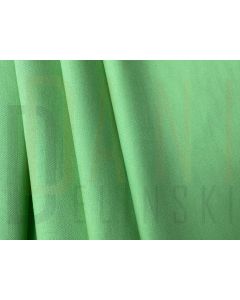 Tecido Lonita - Verde Pistache 1